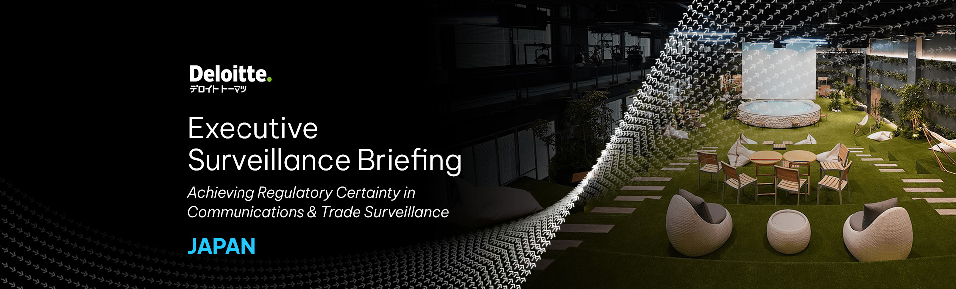 Executive Surveillance Briefing